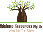 Ndalamo Resources logo